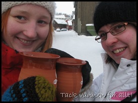 Vinterbilder 438